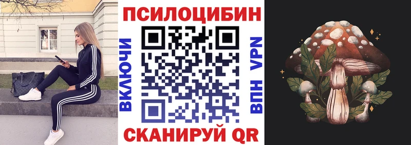 закладка  Гвардейск  Псилоцибиновые грибы Magic Shrooms 
