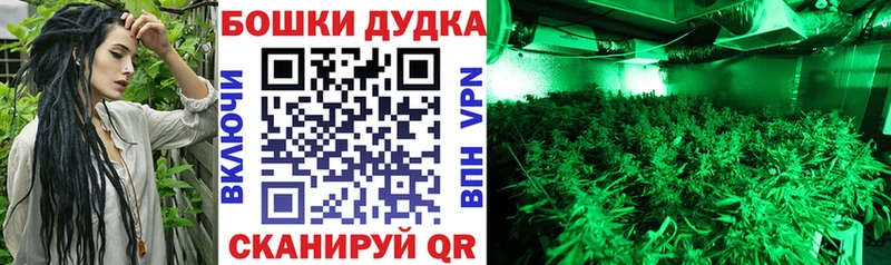 Канабис SATIVA & INDICA Гвардейск